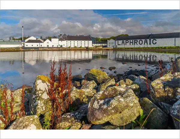 Laphroaig Whisky Distillery, Loch Laphroaig, Islay, Argyll and Bute, Scotland, United Kingdom, Europe