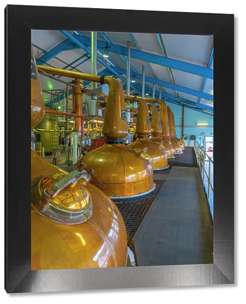 Copper pot stills, Laphroaig Whisky Distillery, Islay, Argyll and Bute, Scotland, United Kingdom, Europe