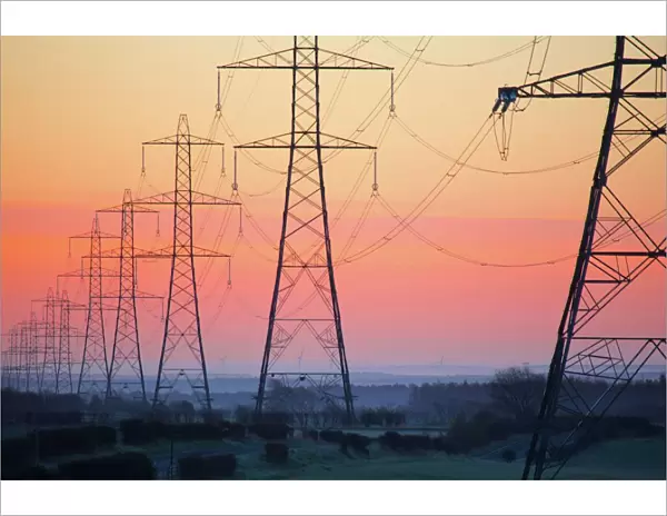 Electricity pylons at daybreak, Derbyshire  /  Nottinghamshire border, England, United Kingdom, Europe
