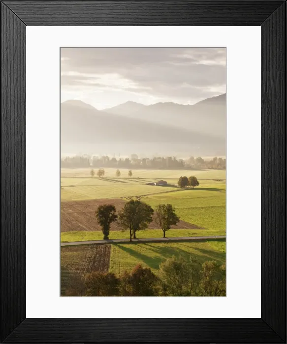 Framed Print : Kochelmoos Moor, Hay Huts, Bavarian Alps, Upper Bavaria, Bavaria, Germany, Europe Framed Print : Kochelmoos Moor, Hay Huts, Bavarian Alps, Upper Bavaria, Bavaria, Germany, Europe