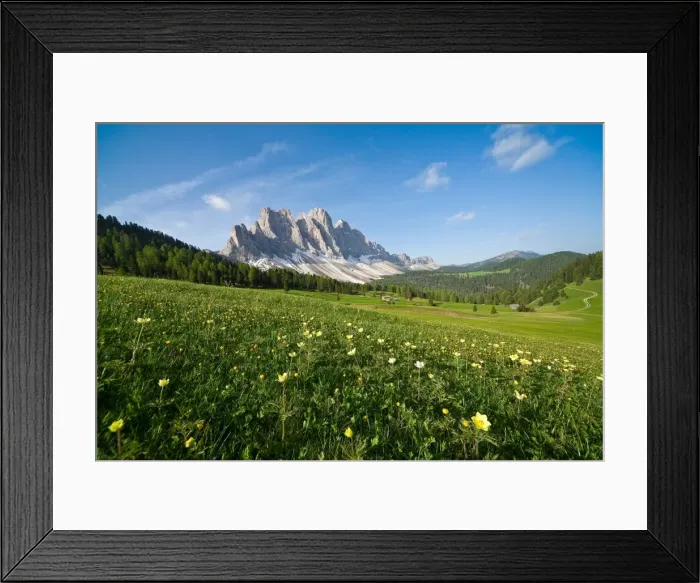 Framed Print : Spring flowers blooming in the fields surrounding the Puez-Odle National Park, Dolomites, South Tyrol, Italy, Europe Framed Print : Spring flowers blooming in the fields surrounding the Puez-Odle National Park, Dolomites, South Tyrol, Italy, Europe