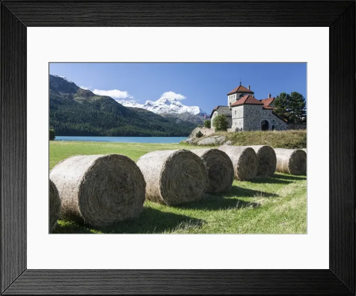 Framed Print : Haystacks lying on the bank of Lake Sils in Silvaplana, by Saint Moritz, Graubunden Switzerland, Europe Framed Print : Haystacks lying on the bank of Lake Sils in Silvaplana, by Saint Moritz, Graubunden Switzerland, Europe
