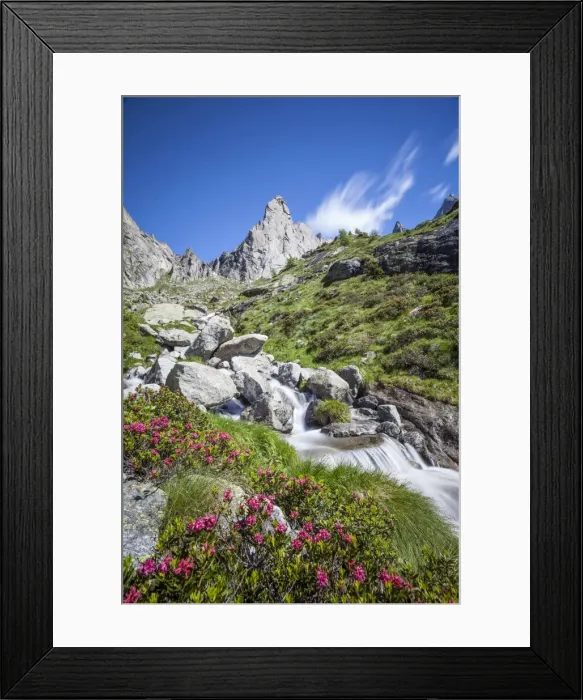 Framed Print : Rhododendron blooming by a stream in Valmasino, famous for its granite walls, Valtellina, Lombardy, Italy, Europe Framed Print : Rhododendron blooming by a stream in Valmasino, famous for its granite walls, Valtellina, Lombardy, Italy, Europe