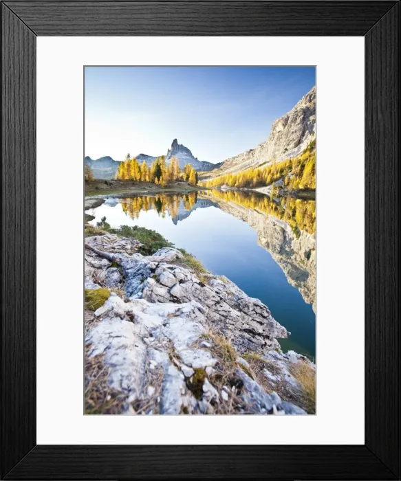 Framed Print : The peak of the Becco di Mezzodi, in the Dolomites, reflecting in the Federa lake, surrounded by yellow larches, Trentino-Alto Adige, Italy, Europe Framed Print : The peak of the Becco di Mezzodi, in the Dolomites, reflecting in the Federa lake, surrounded by yellow larches, Trentino-Alto Adige, Italy, Europe
