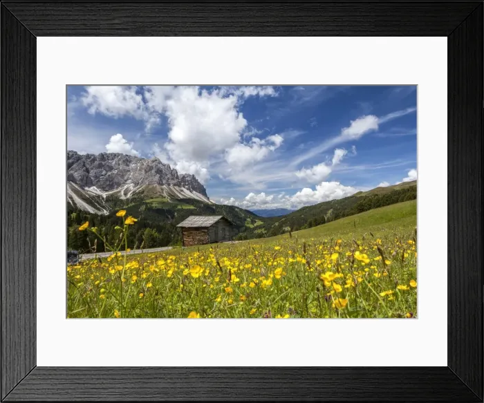 Framed Print : Yellow flowers in spring in the Funes Valley in the Dolomites, South Tyrol, Italy, Europe Framed Print : Yellow flowers in spring in the Funes Valley in the Dolomites, South Tyrol, Italy, Europe