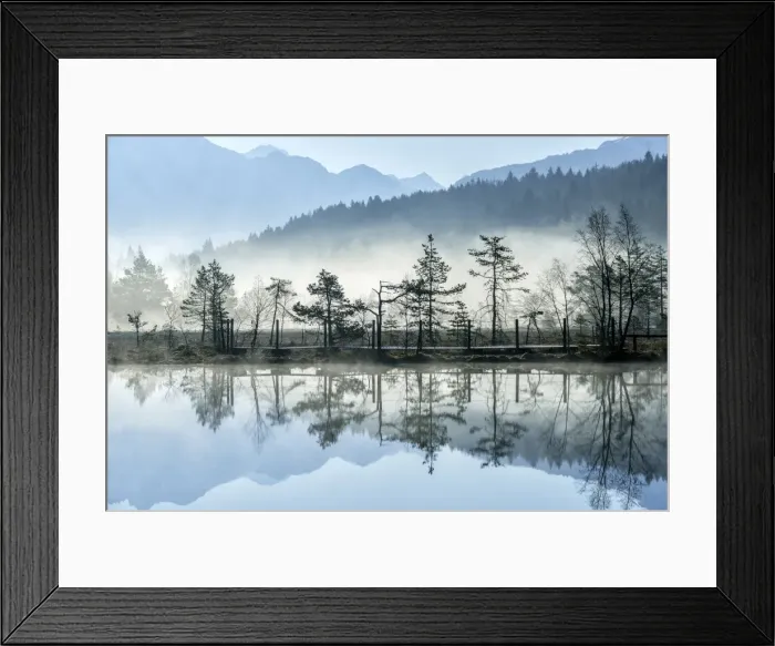 Framed Print : The sun illuminating the mist rising from the ponds of the Nature Reserve of Pian di Gembro early in the morning, Lombardy, Italy, Europe Framed Print : The sun illuminating the mist rising from the ponds of the Nature Reserve of Pian di Gembro early in the morning, Lombardy, Italy, Europe