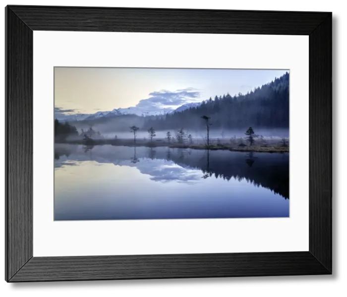 Framed Print : Fog hiding the vegetation in the Nature Reserve of Pian di Gembro before sunrise, Lombardy, Italy, Europe Framed Print : Fog hiding the vegetation in the Nature Reserve of Pian di Gembro before sunrise, Lombardy, Italy, Europe