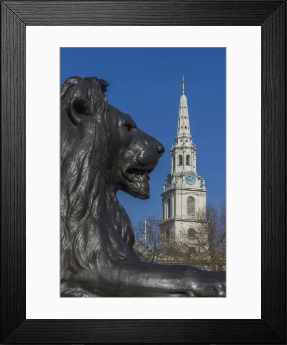 Framed Print : Lion at foot of Nelsons column and St. Martin-in-the-Fields church, Trafalgar Square, London, England, United Kingdom, Europe