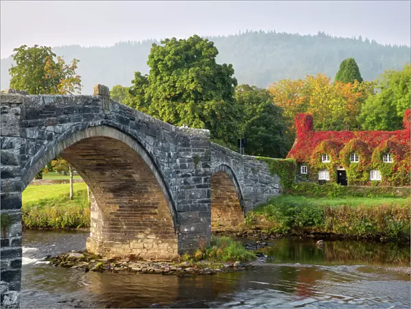 Tu Hwnt i r Bont tearoom and Pont Fawr (Big Bridge) in autumn, Llanrwst, Snowdonia, Conwy, Wales, United Kingdom, Europe