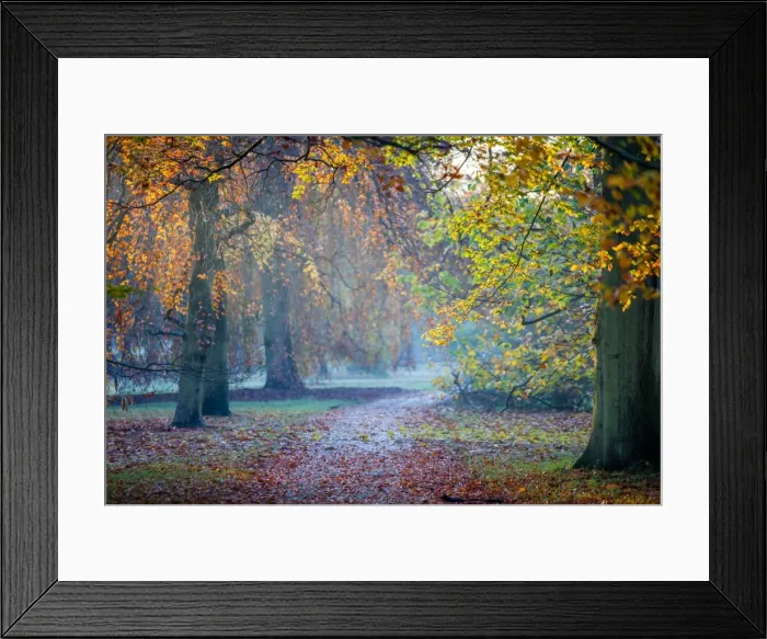 Framed Print : Autumn in Kew Gardens, UNESCO World Heritage Site, Kew, Greater London, England, United Kingdom, Europe Framed Print : Autumn in Kew Gardens, UNESCO World Heritage Site, Kew, Greater London, England, United Kingdom, Europe