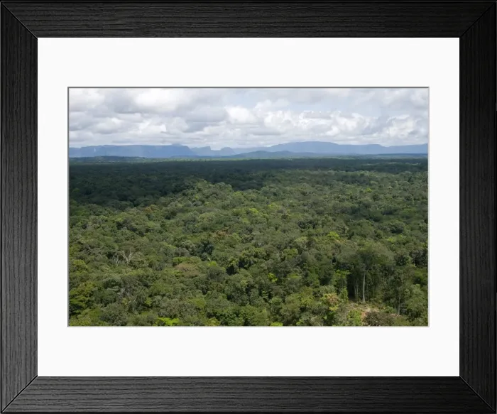 Framed Print : Aerial view over the rainforest of Guyana, South America Framed Print : Aerial view over the rainforest of Guyana, South America
