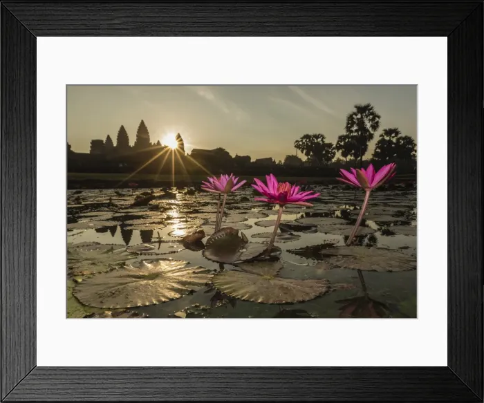 Framed Print : Sunrise over the west entrance to Angkor Wat, Angkor, UNESCO World Heritage Site, Siem Reap, Cambodia, Indochina, Southeast Asia, Asia Framed Print : Sunrise over the west entrance to Angkor Wat, Angkor, UNESCO World Heritage Site, Siem Reap, Cambodia, Indochina, Southeast Asia, Asia
