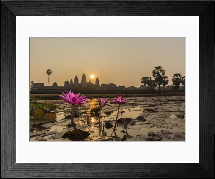 Framed Print : Sunrise over the west entrance to Angkor Wat, Angkor, UNESCO World Heritage Site, Siem Reap, Cambodia, Indochina, Southeast Asia, Asia Framed Print : Sunrise over the west entrance to Angkor Wat, Angkor, UNESCO World Heritage Site, Siem Reap, Cambodia, Indochina, Southeast Asia, Asia