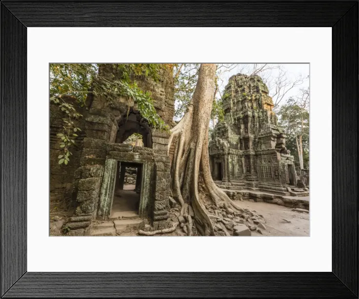 Framed Print : Ta Prohm Temple, being destroyed by jungle growth, Angkor, UNESCO World Heritage Site, Cambodia, Indochina, Southeast Asia, Asia Framed Print : Ta Prohm Temple, being destroyed by jungle growth, Angkor, UNESCO World Heritage Site, Cambodia, Indochina, Southeast Asia, Asia