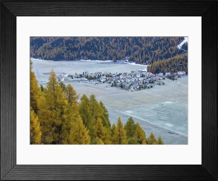 Framed Print : Frost whitening the meadows and the village of Surlej by St. Moritz in Engadine, surrounded by yellow larches in autumn, Graubunden, Swiss Alps, Switzerland, Europe Framed Print : Frost whitening the meadows and the village of Surlej by St. Moritz in Engadine, surrounded by yellow larches in autumn, Graubunden, Swiss Alps, Switzerland, Europe