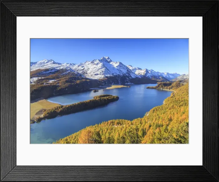 Framed Print : Autumn approaching at Lake Sils near St. Moritz in Engadine, where Piz la Margna is already covered in snow, Graubunden, Swiss Alps, Switzerland, Europe Framed Print : Autumn approaching at Lake Sils near St. Moritz in Engadine, where Piz la Margna is already covered in snow, Graubunden, Swiss Alps, Switzerland, Europe