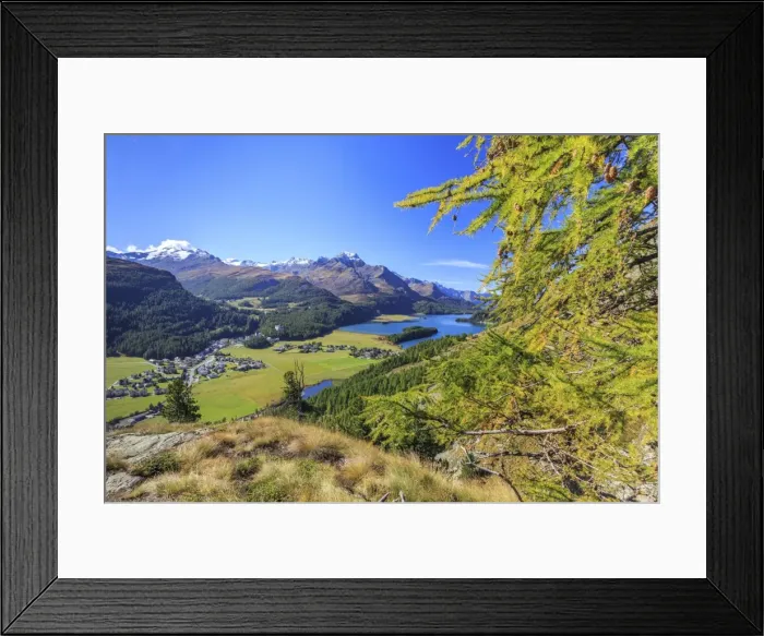 Framed Print : In summer the Engadine valley becomes a paradise for mountain lovers with larch forests, pristine lakes and elegant peaks, Graubunden, Switzerland, Europe Framed Print : In summer the Engadine valley becomes a paradise for mountain lovers with larch forests, pristine lakes and elegant peaks, Graubunden, Switzerland, Europe