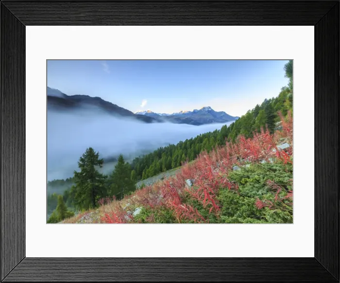 Framed Print : Autumn mist dissolving and revealing the top of Piz la Margna towering over the other peaks of Engadine, near St. Moritz, Graubunden, Switzerland, Europe Framed Print : Autumn mist dissolving and revealing the top of Piz la Margna towering over the other peaks of Engadine, near St. Moritz, Graubunden, Switzerland, Europe