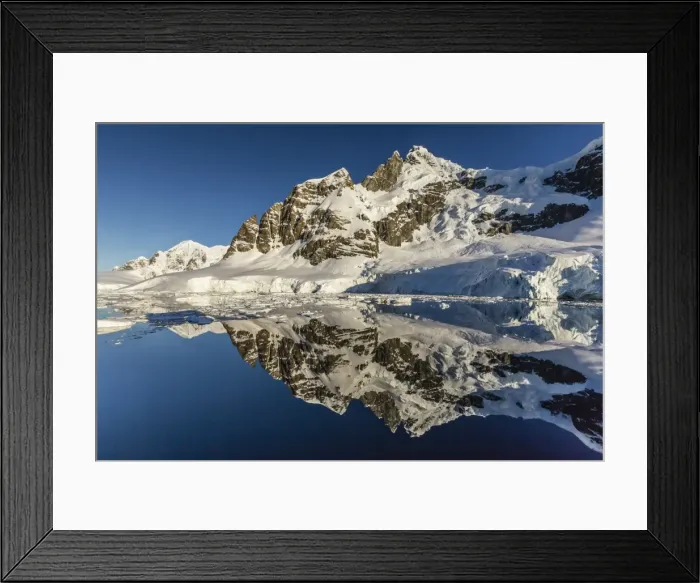 Framed Print : Reflections in the calm waters of the Lemaire Channel, Antarctica, Polar Regions Framed Print : Reflections in the calm waters of the Lemaire Channel, Antarctica, Polar Regions
