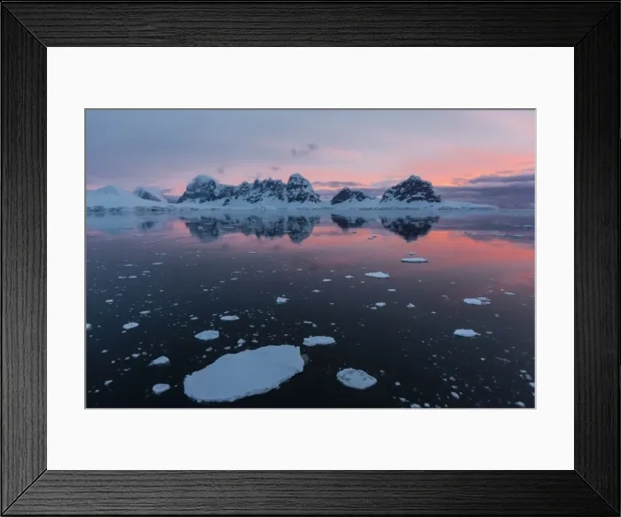 Framed Print : Sunrise over Wiencke Island in the Neumayer Channel, Antarctica, Polar Regions Framed Print : Sunrise over Wiencke Island in the Neumayer Channel, Antarctica, Polar Regions