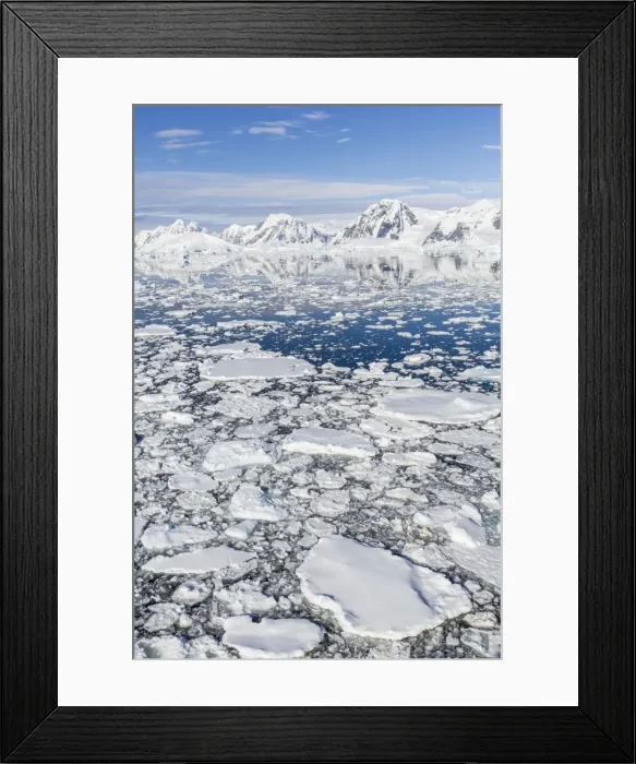 Framed Print : Snow-covered mountains line the ice floes in Penola Strait, Antarctica, Polar Regions Framed Print : Snow-covered mountains line the ice floes in Penola Strait, Antarctica, Polar Regions