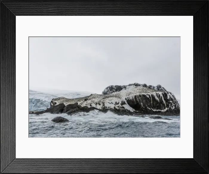 Framed Print : Chinstrap breeding colony at Point Wild, Elephant Island, South Shetland Islands