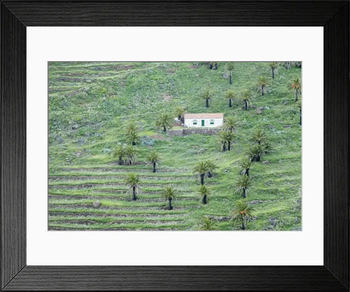 Framed Print : Finca, palm grove, near Alajero, La Gomera, Canary Islands, Spain, Europe Framed Print : Finca, palm grove, near Alajero, La Gomera, Canary Islands, Spain, Europe