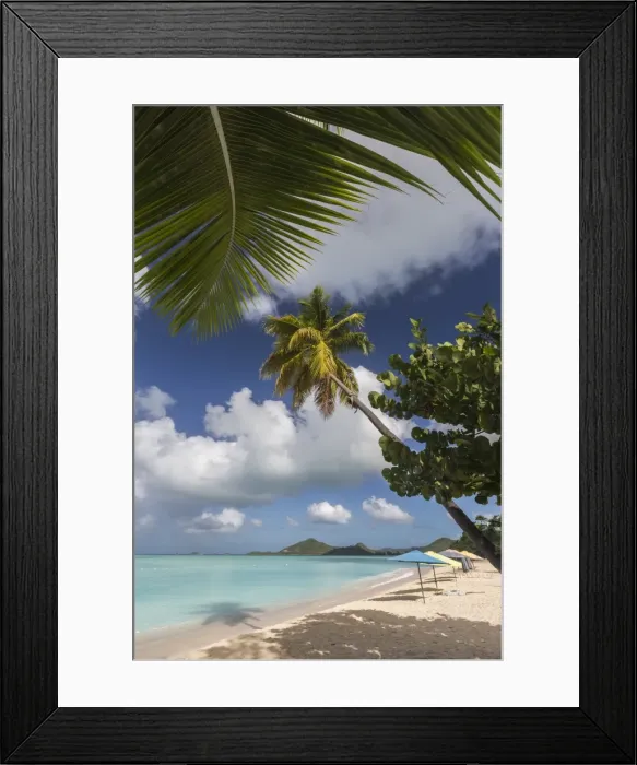 Framed Print : The branches of the palm trees create shade on the beach of Valley Church located Framed Print : The branches of the palm trees create shade on the beach of Valley Church located