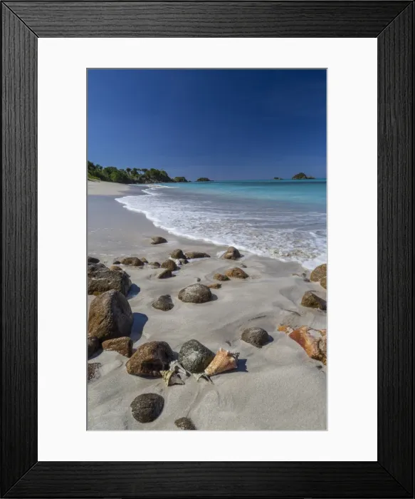 Framed Print : Shells and rocks lie on the beach of Spearn Bay lit the tropical sun and washed by Caribbean Sea Framed Print : Shells and rocks lie on the beach of Spearn Bay lit the tropical sun and washed by Caribbean Sea