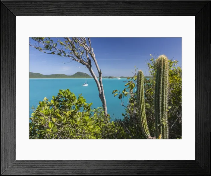 Framed Print : Panoramic view of Spearn Bay from a hill overlooking the quiet lagoon visited by many sailboats, St Framed Print : Panoramic view of Spearn Bay from a hill overlooking the quiet lagoon visited by many sailboats, St
