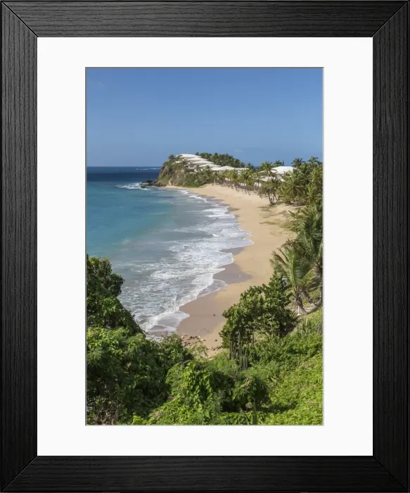 Framed Print : View of the beach in Carlisle where among the vegetation was built a prestigious Framed Print : View of the beach in Carlisle where among the vegetation was built a prestigious