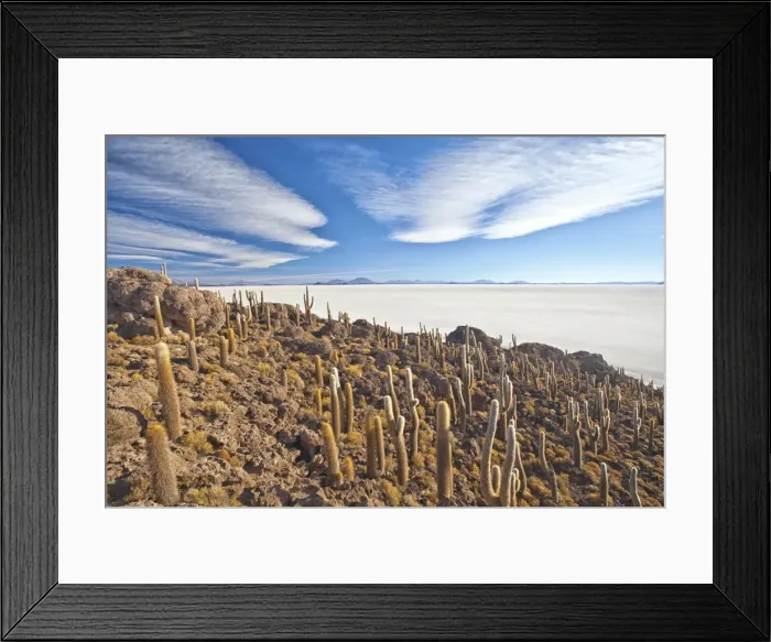 Framed Print : An amazing view from the top of the Isla Incahuasi, Salar de Uyuni, Bolivia, South