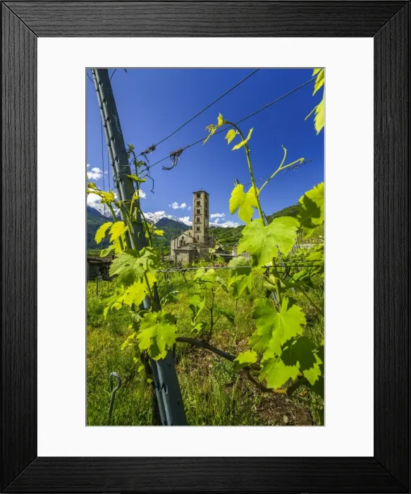 Framed Print : The Church of Villa di Tirano, hidden among the vineyards of Valtellina during Framed Print : The Church of Villa di Tirano, hidden among the vineyards of Valtellina during