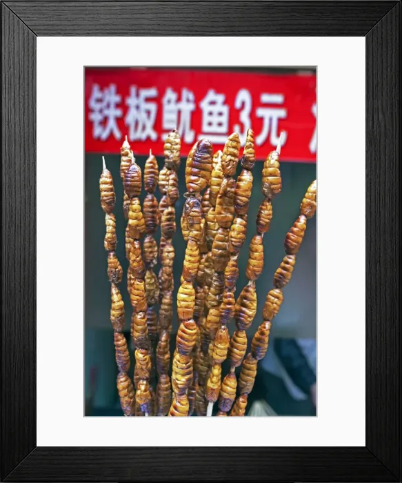 Framed Print : Larvae on skewers for sale at Dong Hua Men night market, Beijing, China, Asia Framed Print : Larvae on skewers for sale at Dong Hua Men night market, Beijing, China, Asia