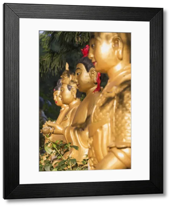 Framed Print : Statues at Ten Thousand Buddhas Monastery, Shatin, New Territories, Hong Kong, China Framed Print : Statues at Ten Thousand Buddhas Monastery, Shatin, New Territories, Hong Kong, China