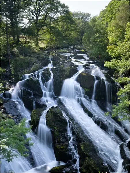 Swallow Falls, Betws-y-Coed, Snowdonia National Park, Conwy, Wales, United Kingdom