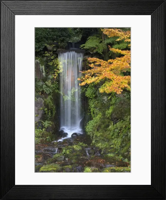 Framed Print : Midoritaki waterfall, Kenrokuen Garden, Kanazawa, Ishikawa Prefecture, Central Honshu Framed Print : Midoritaki waterfall, Kenrokuen Garden, Kanazawa, Ishikawa Prefecture, Central Honshu