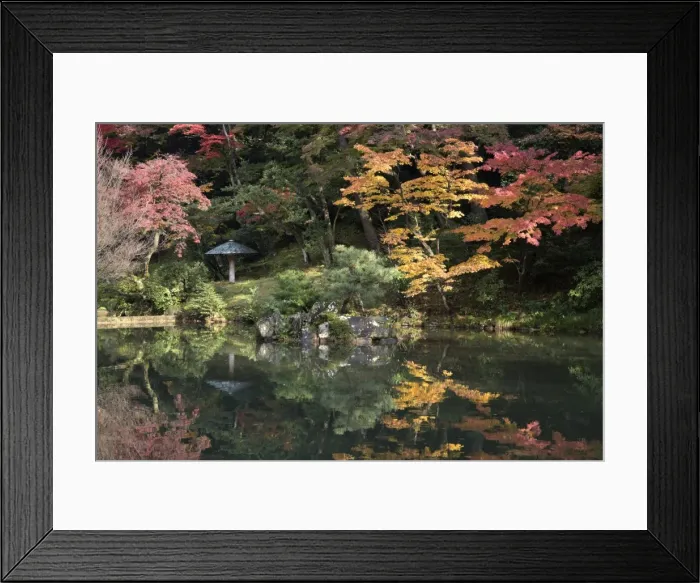 Framed Print : Autumn colours reflected in Hisagoike pond, Kenrokuen Garden, Kanazawa, Ishikawa Prefecture Framed Print : Autumn colours reflected in Hisagoike pond, Kenrokuen Garden, Kanazawa, Ishikawa Prefecture