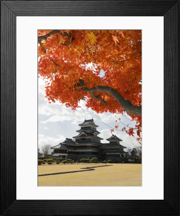 Framed Print : Matsumoto-jo (Wooden Castle) in autumn, Matsumoto, Central Honshu, Japan, Asia Framed Print : Matsumoto-jo (Wooden Castle) in autumn, Matsumoto, Central Honshu, Japan, Asia