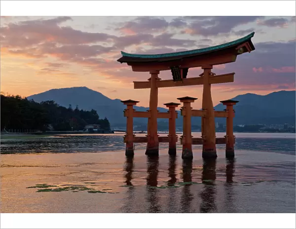 The floating Miyajima torii gate of Itsukushima Shrine at sunset, UNESCO World Heritage Site