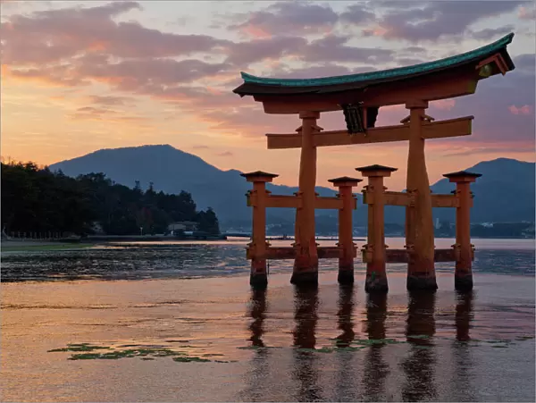 The floating Miyajima torii gate of Itsukushima Shrine at sunset, UNESCO World Heritage Site
