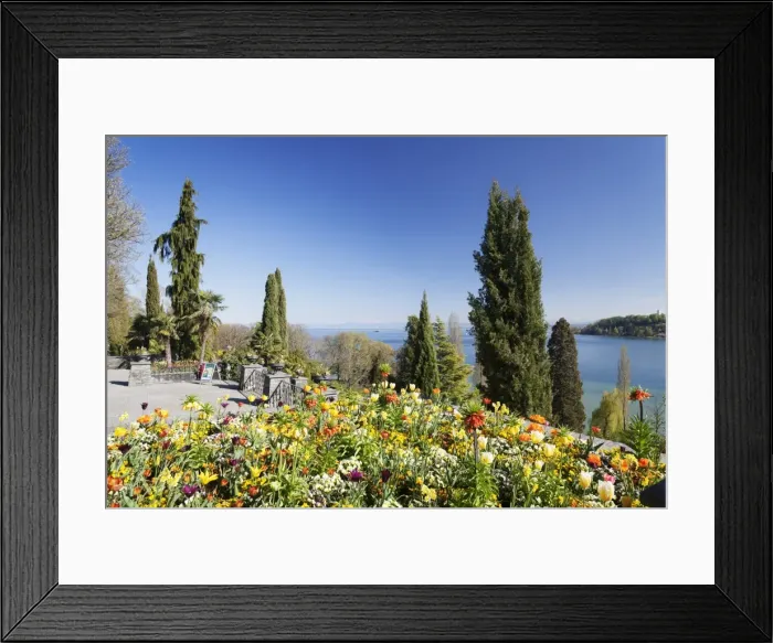 Framed Print : Mainau Island in spring, view over Lake Constance to the Alps, Baden-Wurttemberg Framed Print : Mainau Island in spring, view over Lake Constance to the Alps, Baden-Wurttemberg
