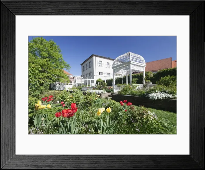 Framed Print : Rosengarten (rose garden) in spring, Ettlingen, Baden-Wurttemberg, Germany, Europe Framed Print : Rosengarten (rose garden) in spring, Ettlingen, Baden-Wurttemberg, Germany, Europe