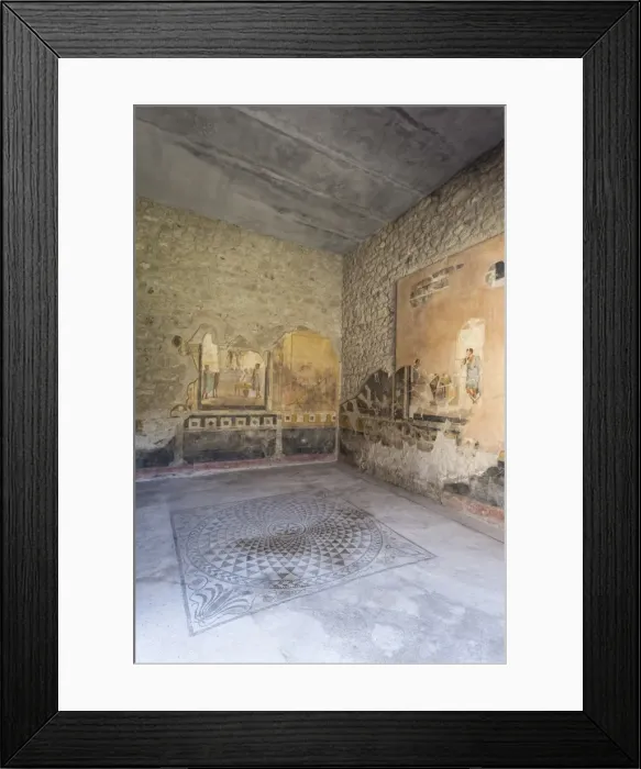 Framed Print : Public sitting room mosaic, frescoed walls in House of Amorini Dorati (Golden Cupids) Framed Print : Public sitting room mosaic, frescoed walls in House of Amorini Dorati (Golden Cupids)