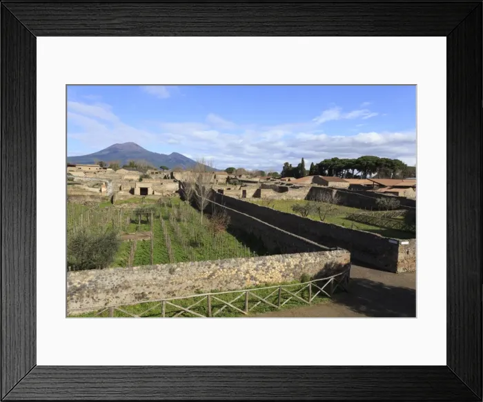 Framed Print : Elevated view to Mount Vesuvius, over Garden of the Fugitives, Roman ruins of Pompeii Framed Print : Elevated view to Mount Vesuvius, over Garden of the Fugitives, Roman ruins of Pompeii