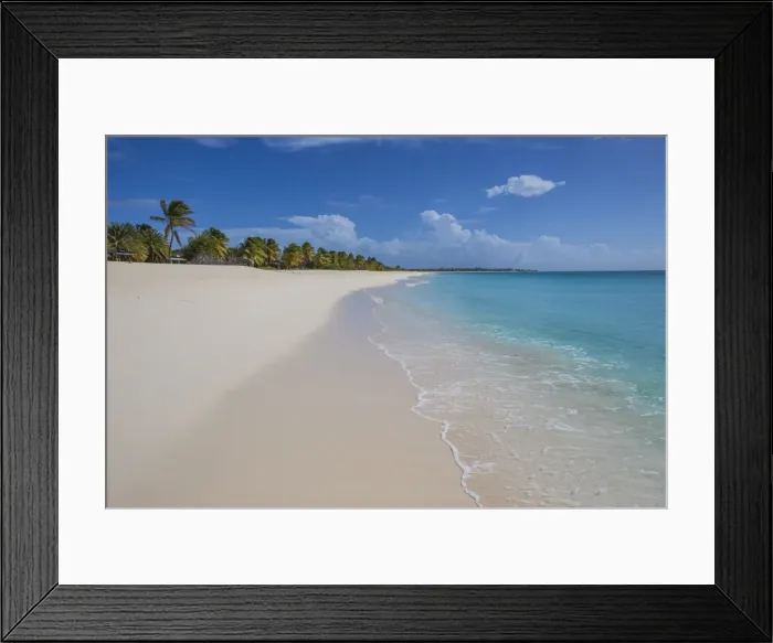 Framed Print : The coconut trees lapping on the beach of K-Club, a thin strip of sand overlooking Framed Print : The coconut trees lapping on the beach of K-Club, a thin strip of sand overlooking