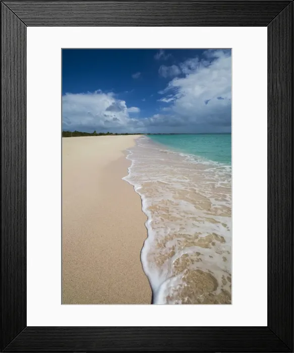 Framed Print : Pink Sand Beach is located on the southwest coast of the small island of Barbuda Framed Print : Pink Sand Beach is located on the southwest coast of the small island of Barbuda
