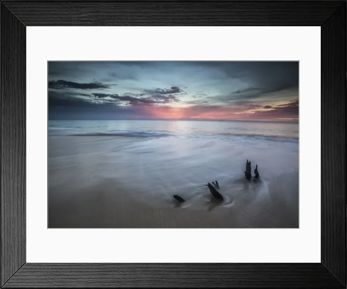 Framed Print : Small tree trunks make a unique setting at sunset on Fryers Beach, Antigua, Leeward Islands Framed Print : Small tree trunks make a unique setting at sunset on Fryers Beach, Antigua, Leeward Islands