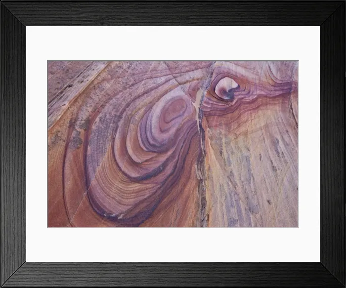 Framed Print : Purple loops in sandstone, Coyote Buttes Wilderness, Vermilion Cliffs National Monument Framed Print : Purple loops in sandstone, Coyote Buttes Wilderness, Vermilion Cliffs National Monument