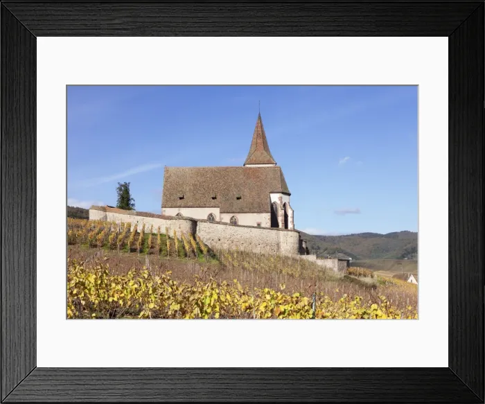 Framed Print : St. Jacques church, vineyards in autumn, Hunawhir, Alsace, France, Europe Framed Print : St. Jacques church, vineyards in autumn, Hunawhir, Alsace, France, Europe